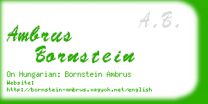 ambrus bornstein business card